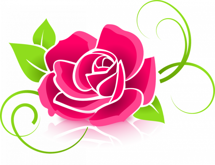 palettblad china rose